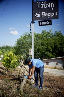 ไฟล์แนบ กปภ.สาขาบ้านตาขุน ตรวจวัดแรงดันน้ำ ณ พื้นที่ตำบลเขาพัง อำเภอบ้านตาขุน จังหวัดสุราษฎร์ธา