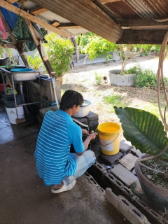 ไฟล์แนบ กปภ.สาขาบ้านตาขุน ดำเนินการตรวจสอบคุณภาพน้ำในระบบจ่าย ณ หน่วยบริการเชี่ยวหลาน ตำบลเขาพัง อำเภอบ้านตาขุน