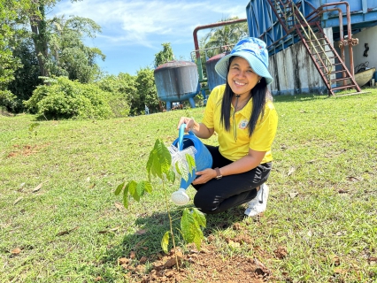 ไฟล์แนบ การประปาส่วนภูมิภาคสาขาตะกั่วป่า จัดกิจกรรมโครงการ กปภ.ปลูกป่าเพื่อแผ่นดิน เทิดพระเกียรติพระบาทสมเด็จพระบรมชนกาธิเบศร มหาภูมิพล