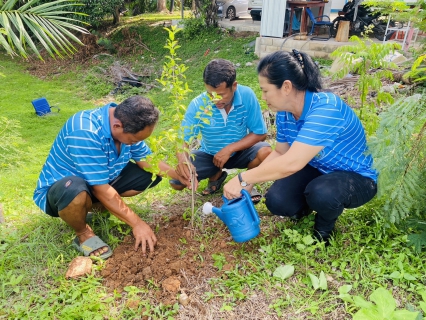 ไฟล์แนบ การประปาส่วนภูมิภาคสาขากระบี่ จัดกิจกรรมปลูกต้นไม้เนื่องในวันต้นไม้ประจำปีของชาติ โครงการ กปภ.ปลูกป่าเพื่อแผ่นดิน เทิดพระเกียรติพระบาทสมเด็จพระบรมชนกาธิเบศร มหาภูมิพลอดุลยเดชมหาราช บรมนาถบพิตร (Fathers Land) ปี 2567