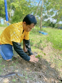 ไฟล์แนบ กปภ.ปลูกป่าเพื่อแผ่นดิน เทิดพระเกียรติพระบาทสมเด็จพระบรมชนกาธิเบศร มหาภูมิพลอดุลยเดชมหาราช บรมนาถบพิตร ปี 2567