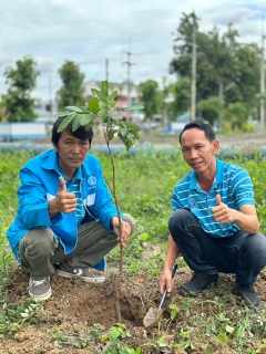 ไฟล์แนบ กปภ.สาขาเกาะคา ร่วมสร้างพื้นที่สีเขียว ปลูกป่าเพื่อแผ่นดิน เทิดพระเกียรติพระบาทสมเด็จพระบรมชนกาธิเบศร มหาภูมิพลอดุลยเดชมหาราช บรมนาถบพิตร (Father's Land) ประจำปี 2567 