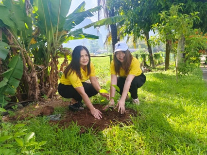 ไฟล์แนบ การประปาส่วนภูมิภาคสาขาอ่าวลึก ร่วมกันปลูกต้นไม้ ณ การประปาส่วนภูมิภาคสาขาอ่าวลึก ภายใต้โครงการ กปภ.ปลูกป่าเพื่อแผ่นดิน เทิดพระเกียรติ พระบาทสมเด็จพระบรมชนกาธิเบศร มหาภูมิพลอดุลยเดชมหาราช บรมนาถบพิตร (Fathers Land) ปี 2567