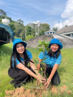 ไฟล์แนบ การประปาส่วนภูมิภาคสาขากันตัง ดำเนินโครงการ กปภ.ปลูกป่าเพื่อแผ่นดิน เทิดพระเกียรติพระบาทสมเด็จพระบรมชนกาธิเบศร มหาภูมิพลอดุลยเดชมหาราช บรมนาถบพิตร (Father's Land) ปี 2567 เนื่องในวันต้นไม้ประจำปีของชาติ