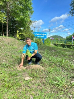 ไฟล์แนบ กปภ.สาขาบางสะพาน ร่วมกันปลูกป่าเพื่อแผ่นดิน เทิดพระเกียรติพระบาทสมเด็จพระบรมชนกาธิเบศร มหาภูมิพลอดุลยเดชมหาราช บรมนาถบพิตร (Father's Land) ประจำปี 2567