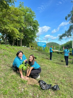 ไฟล์แนบ กปภ.สาขาบางสะพาน ร่วมกันปลูกป่าเพื่อแผ่นดิน เทิดพระเกียรติพระบาทสมเด็จพระบรมชนกาธิเบศร มหาภูมิพลอดุลยเดชมหาราช บรมนาถบพิตร (Father's Land) ประจำปี 2567