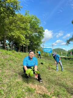 ไฟล์แนบ กปภ.สาขาบางสะพาน ร่วมกันปลูกป่าเพื่อแผ่นดิน เทิดพระเกียรติพระบาทสมเด็จพระบรมชนกาธิเบศร มหาภูมิพลอดุลยเดชมหาราช บรมนาถบพิตร (Father's Land) ประจำปี 2567