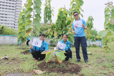 ไฟล์แนบ กปภ.สาขาปทุมธานี ดำเนินโครงการ กปภ.ปลูกป่าเพื่อแผ่นดิน เทิดพระเกียรติพระบาทสมเด็จพระบรมชนกาธิเบศร มหาภูมิพลอดุลยเดชมหาราช บรมนาถบพิตร (Fathers Land) ประจำปี 2567