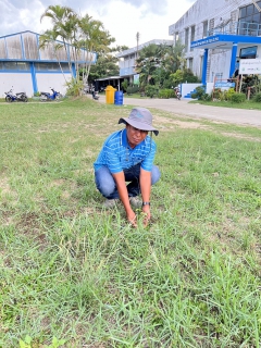 ไฟล์แนบ กปภ.สาขานราธิวาส จัดกิจกรรมกปภ. ปลูกป่าเพื่อแผ่นดิน เทิดพระเกียรติพระบาทสมเด็จพระบรมชนกาธิเบศร มหาภูมิพลอดุลยเดชมหาราช (Fathers Land) ประจำปี 2567 