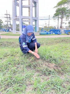 ไฟล์แนบ กปภ.สาขานราธิวาส จัดกิจกรรมกปภ. ปลูกป่าเพื่อแผ่นดิน เทิดพระเกียรติพระบาทสมเด็จพระบรมชนกาธิเบศร มหาภูมิพลอดุลยเดชมหาราช (Fathers Land) ประจำปี 2567 