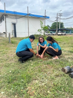 ไฟล์แนบ กปภ.สาขาขอนแก่น(พ.) จัดกิจกรรม กปภ.ปลูกป่าเพื่อแผ่นดิน เทิดพระเกียรติพระบาทสมเด็จพระบรมชนกาธิเบศร มหาภูมิพลอดุลยเดชมหาราช บรมนาถบพิตร (Fathers Land) ประจำปี 2567