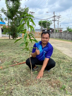 ไฟล์แนบ กปภ.สาขาขอนแก่น(พ.) จัดกิจกรรม กปภ.ปลูกป่าเพื่อแผ่นดิน เทิดพระเกียรติพระบาทสมเด็จพระบรมชนกาธิเบศร มหาภูมิพลอดุลยเดชมหาราช บรมนาถบพิตร (Fathers Land) ประจำปี 2567