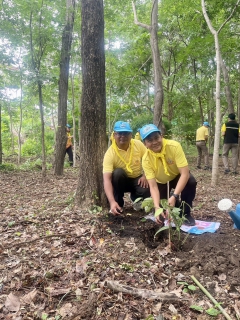 ไฟล์แนบ ร่วมกิจกรรมจิตอาสาบำเพ็ญสาธารณประโยชน์ และบำเพ็ญสาธารณกุศลเนื่องในโอกาสวันเฉลิมพระชนมพรรษาสมเด็จพระนางเจ้าฯ พระบรมราชินี