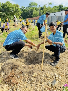 ไฟล์แนบ กิจกรรมโครงการปลูกป่าอย่างมีส่วนร่วม