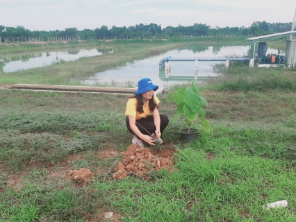 ไฟล์แนบ กปภ.สาขาพนมสารคาม ปลูกต้นไม้ตามกิจกรรมในโครงการ กปภ.ปลูกป่าเพื่อแผ่นดินเทิดพระเกียรติพระบาทสมเด็จพระบรมชนกาธิเบศร มหาภูมิพลอดุลยเดชมหาราช บรมนาถบพิตร ปี 2567 และ กิจกรรมวันต้นไม้ประจำปีของชาติ พ.ศ. 2567