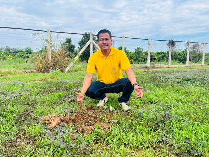 ไฟล์แนบ กปภ.สาขาพนมสารคาม ปลูกต้นไม้ตามกิจกรรมในโครงการ กปภ.ปลูกป่าเพื่อแผ่นดินเทิดพระเกียรติพระบาทสมเด็จพระบรมชนกาธิเบศร มหาภูมิพลอดุลยเดชมหาราช บรมนาถบพิตร ปี 2567 และ กิจกรรมวันต้นไม้ประจำปีของชาติ พ.ศ. 2567