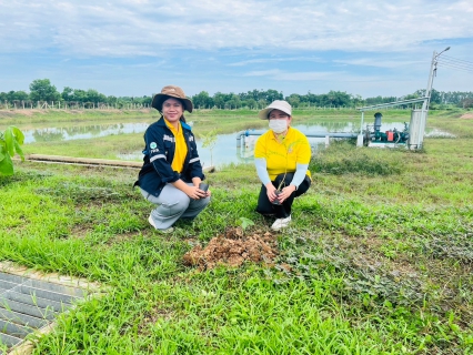 ไฟล์แนบ กปภ.สาขาพนมสารคาม ปลูกต้นไม้ตามกิจกรรมในโครงการ กปภ.ปลูกป่าเพื่อแผ่นดินเทิดพระเกียรติพระบาทสมเด็จพระบรมชนกาธิเบศร มหาภูมิพลอดุลยเดชมหาราช บรมนาถบพิตร ปี 2567 และ กิจกรรมวันต้นไม้ประจำปีของชาติ พ.ศ. 2567