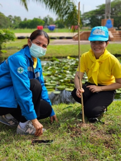 ไฟล์แนบ กปภ.สาขาระโนดเข้าร่วมกิจกรรมจิตอาสาพัฒนา ถวายพระราชกุศล  เนื่องในโอกาสวันคล้ายวันสวรรคต พระบาทสมเด็จพระปรเมนทรมหาอานันทมหิดล  พระอัฐมรามาธิบดินทร (รัชกาลที่ 8) พร้อมสนับสนุนมอบน้ำดื่มบร&#65279;รจุขวด  ตราสัญลักษณ์ กปภ.