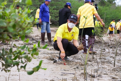 ไฟล์แนบ กปภ.สาขาประจวบคีรีขันธ์  ร่วมโครงการประจวบรวมใจ ลดโลกเดือด  พลิกฟื้นผืนดิน สู้วิกฤตภัยแล้ง / Our land. Our future. We are #GenerationRestoration. ภายใต้วันสิ่งแวดล้อมโลกและวันต้นไม้ประจำปีของชาติ ประจำปี 2567