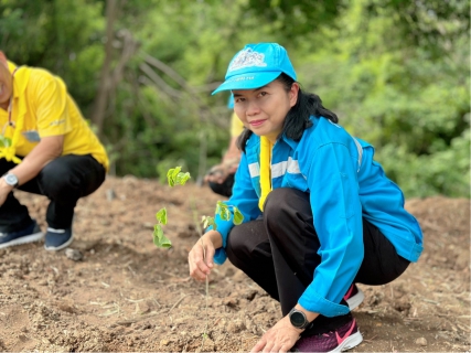 ไฟล์แนบ จิตอาสาพัฒนา เนื่องในวันคล้ายวันเฉลิมพระชนมพรรษา สมเด็จพระนางเจ้าสุทิดา พัชรสุธาพิมลลักษณ พระบรมราชินี  ********************* เมื่อวันที่ 31 พ.ค. 67 เวลา 09.15 น. นายปรีชาวุฒิ นาคยิ้ม ผู้จัดการการประปาส่วนภูมิภาคสาขาเกาะคา พร้อมด้วยหัวหน้างาน 3 งาน และพนักงานในสังกัด เข้าร่วมกิจกรรมจิตอาสาพัฒนา กิจกรรมเฉลิมพระเกียรติสมเด็จพระนางเจ้าสุทธิดา พัชรสุธาพิมลลักษณ พระบรมราชินี เนื่องในวันคล้ายวันเฉลิมพระชนมพรรษา 46 พรรษา 3 มิถุนายน 2567 และได้สนับสนุนน้ำดื่มบรรจุขวดตราสัญลักษณ์ กปภ. จำนวน 180 ขวด เพื่อบริการผู้เข้าร่วมกิจกรรม  ณ บริเวณรอบสนามกีฬาบ้านศาลาดงลาน หมู่ 1 ต.ศาลา อ.เกาะคา จ.ลำปาง #csr การประปาส่วนภูมิภาค#กปภ.ปลูกป่าเพื่อแผ่นดิน#ดินดีน้ำดีชีวีมีสุขอย่างยั่งยืน#กปภ.สาขาเกาะคา