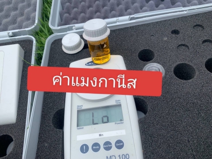 ไฟล์แนบ การประปาส่วนภูมิภาคสาขาอ่าวลึก ออกพื้นที่ตรวจสอบคุณภาพน้ำประปา ตรวจวัดค่าคลอรีน ค่าความขุ่นในน้ำประปา