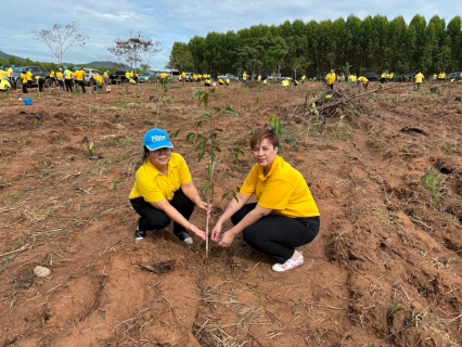 ไฟล์แนบ กปภ.สาขาพนมสารคาม ร่วมพิธีปลูกป่า ภายใต้ โครงการ 72 ล้านต้น พลิกฟื้นผืนป่า เฉลิมพระเกียรติพระบาทสมเด็จพระเจ้าอยู่หัว เนื่องในโอกาสพระราชพิธีมหามงคลเฉลิมพระชนมพรรษา 6 รอบ 28 กรกฎาคม 2567