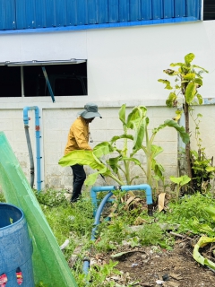 ไฟล์แนบ กปภ.สาขารังสิต(พ) เข้าปรับปรุงภูมิทัศน์บริเวณโดยรอบสถานีจ่ายน้ำคูคต ต.คูคต อ.ลำลูกกา จ.ปทุมธานี