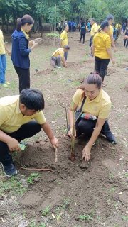 ไฟล์แนบ ร่วมกิจกรรมปลูกป่าอย่างยั่งยืน เพื่อรองรับการเปลี่ยนแปลงสภาพภูมิอากาศ