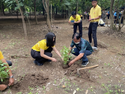 ไฟล์แนบ ร่วมกิจกรรมปลูกป่าอย่างยั่งยืน เพื่อรองรับการเปลี่ยนแปลงสภาพภูมิอากาศ