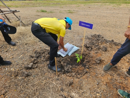 ไฟล์แนบ กปภ.สาขาคลองหลวง ร่วมกิจกรรมจิตอาสา เราทำความดี ด้วยหัวใจ เนื่องในโอกาสพระราชพิธีมหามงคลเฉลิมพระชนมพรรษา 6 รอบ 28 กรกฎาคม 2567