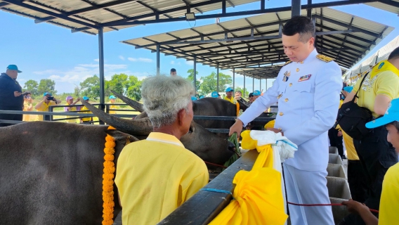 ไฟล์แนบ กปภ.สาขาระโนด เข้าร่วมพิธีอัญเชิญเครื่องสังฆทานพระราชทาน ถวายวัดบ้านขาว พิธีรับมอบกระบือพ่อพันธ์ุพระราชทาน มอบน้ำเชื้อพ่อพันธ์ุกระบือปลักไทย เพื่อใช้ในโครงการอนุรักษ์ควายน้ำ และกิจกรรมจิตอาสา เนื่องในโอกาสวันเฉลิมพระชนมพรรษา สมเด็จพระนางเจ้าสิริกิติ์ พระบรมราชินีนาถ พระบรมราชชนนีพันปีหลวง และวันแม่แห่งชาติ ณ ศูนย์อนุรักษ์ควายน้ำอำเภอระโนด ตำบลบ้านขาว อำเภอระโนด จังหวัดสงขลา พร้อมสนับสนุนน้ำดื่มบรรจุขวดบร&#65279;รจุขวด ตราสัญลักษณ์ กปภ.