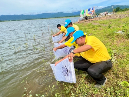 ไฟล์แนบ การประปาส่วนภูมิภาคสาขากุยบุรีร่วมกิจกรรมจิตอาสาพัฒนาแหล่งน้ำ เนื่องในโอกาสวันสำคัญของชาติไทย (วันแม่แห่งขาติ)