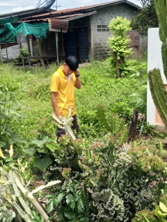 ไฟล์แนบ การดำเนินการลดน้ำสูญเสียในส่วนของการรับเหตุจากทุกช่องทางและจากการเฝ้าระวัง ค้นหา ตรวจสอบพบท่อแตก-รั่ว