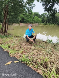 ไฟล์แนบ การประปาส่วนภูมิภาคสาขาปากน้ำประแสร์ ร่วมกิจกรรมจิตอาสาพัฒนาในวันสำคัญของชาติ 