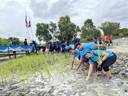 ไฟล์แนบ กปภ.สาขาพัทยา(พ) ร่วมโครงการปลูกข้าววันแม่ เก็บเกี่ยววันพ่อ อนุรักษ์ภูมิปัญญา อาชีพทำนาในท้องถิ่น