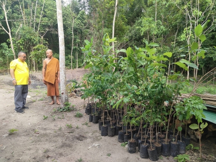 ไฟล์แนบ กปภ.สาขาสมุทรสาคร จัดกิจกรรมจิตอาสาเพิ่มพื้นที่ป่าต้นน้ำ ภายใต้โครงการ องค์กรผู้ใช้น้ำร่วมใจ เฉลิมพระเกียรติพระบาทสมเด็จพระเจ้าอยู่หัวเนื่องในโอกาสพระราชพิธีมหามงคลเฉลิมพระชนม์พรรษา 6 รอบ 28 กรกฎาคม 2567"