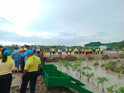 ไฟล์แนบ กปภ.สาขากุยบุรี ร่วมกิจกรรมจิตอาสาปลูกป่าชายเลนลดโลกร้อน ณ อุทยานแห่งชาติเขาสามร้อยยอด