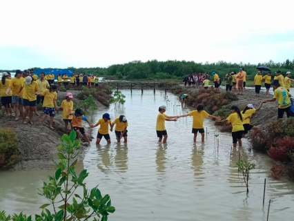 ไฟล์แนบ กปภ.สาขากุยบุรี ร่วมกิจกรรมจิตอาสาปลูกป่าชายเลนลดโลกร้อน ณ อุทยานแห่งชาติเขาสามร้อยยอด