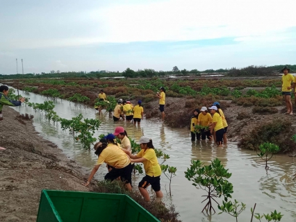 ไฟล์แนบ กปภ.สาขากุยบุรี ร่วมกิจกรรมจิตอาสาปลูกป่าชายเลนลดโลกร้อน ณ อุทยานแห่งชาติเขาสามร้อยยอด