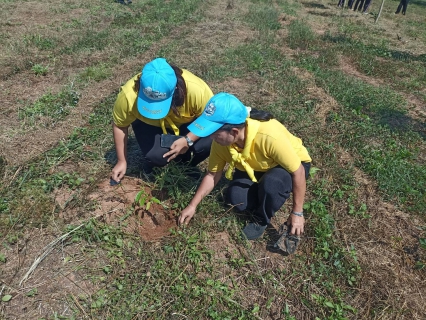 ไฟล์แนบ กปภ.สาขากาญจนดิษฐ์ เข้าร่วมกิจกรรมจิตอาสา เราทำความดี ด้วยหัวใจ เนื่องในโอกาสวันสวรรคตของพระบาทสมเด็จพระจุลจอมเกล้าเจ้าอยู่หัว (วันปิยมหาราช)