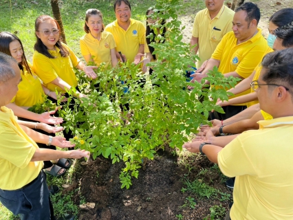 ไฟล์แนบ กปภ.สาขานครสวรรค์ จัดกิจกรรม วันรักต้นไม้ประจำปี 2567 น้อมรำลึกถึงพระมหากรุณาธิคุณของสมเด็จพระศรีนครินทราบรมราชชนนี