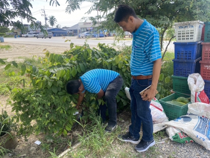 ไฟล์แนบ กปภ.สาขากุยบุรี ดำเนินโครงการเติมใจให้กัน ดูแลประชาชนชุมชนตลาดหนองหมู ตำบลกุยบุรี อำเภอกุยบุรี จังหวัดประจวบคีรีขันธ์