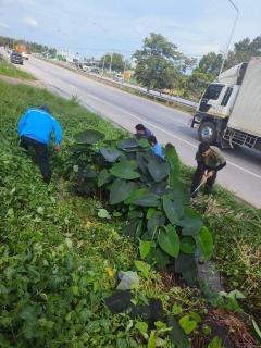 ไฟล์แนบ กปภ.สาขาบางสะพาน เร่งรัดค้นหาท่อแตกรั่วเชิงรุก ALC บริเวณพื้นที่จ่ายน้ำ MM08 ต.เขาล้าน อ.ทับสะแก จ.ประจวบคีรีขันธ์