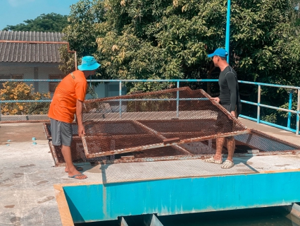 ไฟล์แนบ กปภ.สาขากุยบุรี จัดกิจกรรม 5ส พัฒนาคุณภาพน้ำประปา ล้างถังตกตะกอนโรงกรองน้ำและสถานีผลิตน้ำ ตามแนวทางโครงการจัดการน้ำสะอาด (WSP) ประจำเดือนพฤศจิกายน 2567