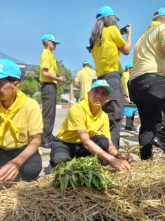 ไฟล์แนบ กปภ.สาขาอ้อมน้อย ร่วมประชุมประจำเดือนธันวาคม 2567 พร้อมร่วมกิจกรรมจิตอาสาพัฒนา  ล้อมรั้วด้วยรัก ปลูกผักหน้าอำเภอ ภายใต้กิจกรรม วันดินโลก ปี 2567 (World Soil Day 2024) 