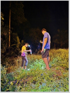 ไฟล์แนบ กปภ.สาขาขนอมลงพื้นที่ปฏิบัติงานลดน้ำสูญเสีย โดยวิธีการเดินหาท่อแตกรั่ว บริเวณ ม.6-7 ต.ขนอม อ.ขนอม จ.นครศรีธรรมราช