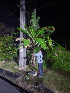 ไฟล์แนบ กปภ.สาขาตะกั่วป่า ดำเนินงานตามแผนบริหารจัดการน้ำสูญเสียเชิงรุก ทำ Step Test ลงพื้นที่เดินเท้าหาท่อแตกรั่ว เพื่อลดการเกิดน้ำสูญเสีย