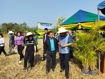 ไฟล์แนบ กปภ.สาขาปราณบุรี เข้าร่วมงานรณรงค์สร้างการรับรู้และการเรียนรู้การเกษตรที่เป็นมิตรกับสิ่งแวดล้อม (Green Day)