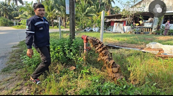 ไฟล์แนบ กปภ.สาขาบางสะพาน ดำเนินการตามแผนปฏิบัติการโครงการจัดการน้ำสะอาดและการบำรุงรักษาเชิงป้องกัน WSP&PMและกิจกรรม 5ส. ประจำเดือน มกราคม 2568