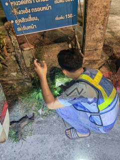 ไฟล์แนบ การประปาส่วนภูมิภาคสาขาพัทลุง จัดกิจกรรมเดินหาท่อรั่ว ในพื้นที่ DMA-03-04 โซนศูนย์ราชการ